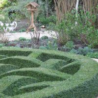 amersfoort-tuinman/tuinonderhoud/buxus_bijknippen.JPG