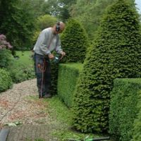 amersfoort-tuinman/tuinonderhoud/tuinonderhoud.JPG