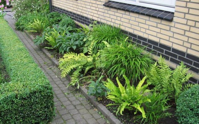 Amersfoort-hovenier/tuinonderhoud/vaste-planten-border