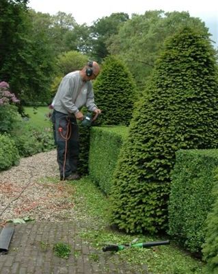 amersfoort-tuinman/tuinonderhoud/tuinonderhoud.JPG